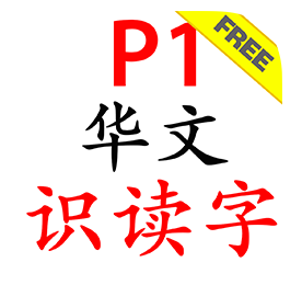 P1 Chinese Flash Cards app icon
